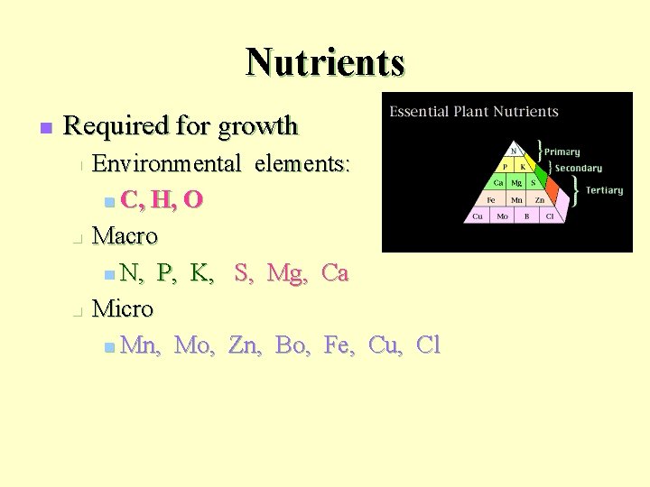 Nutrients n Required for growth n n n Environmental elements: n C, H, O