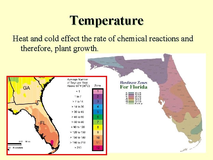 Temperature Heat and cold effect the rate of chemical reactions and therefore, plant growth.