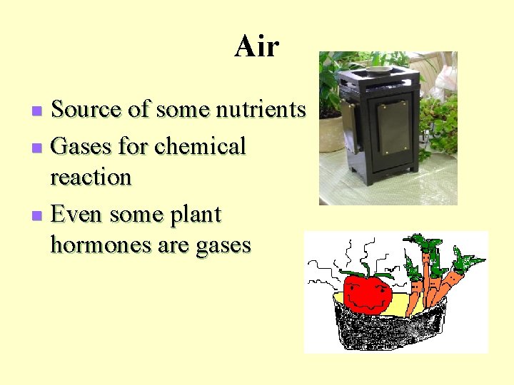 Air Source of some nutrients n Gases for chemical reaction n Even some plant
