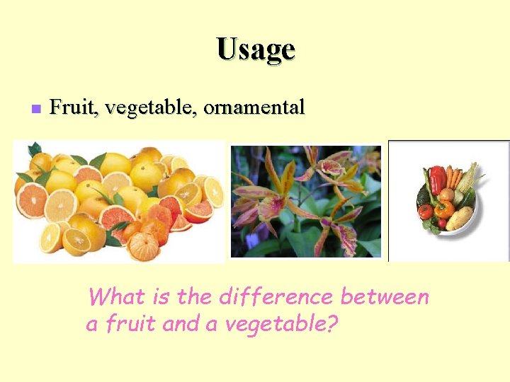 Usage n Fruit, vegetable, ornamental What is the difference between a fruit and a