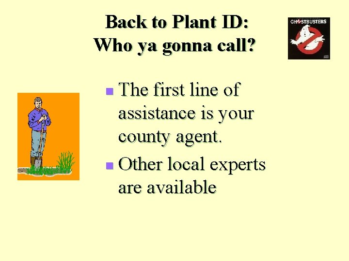 Back to Plant ID: Who ya gonna call? The first line of assistance is