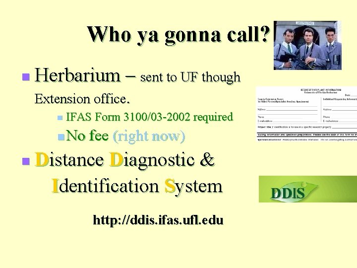 Who ya gonna call? n n Herbarium – sent to UF though Extension office.