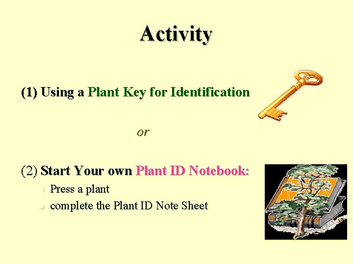 Activity (1) Using a Plant Key for Identification or (2) Start Your own Plant
