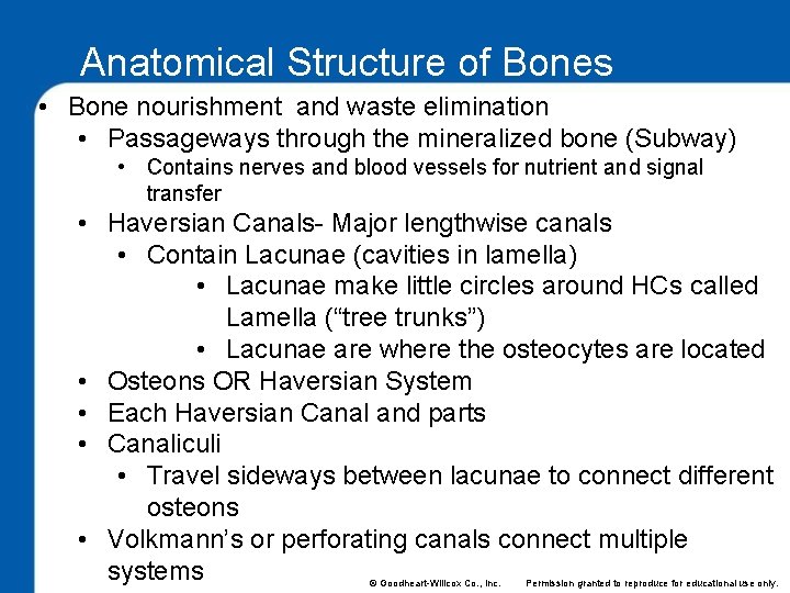 Anatomical Structure of Bones • Bone nourishment and waste elimination • Passageways through the