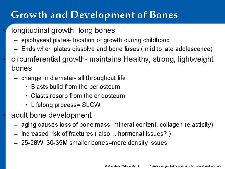 Growth and Development of Bones • longitudinal growth- long bones – epiphyseal plates- location