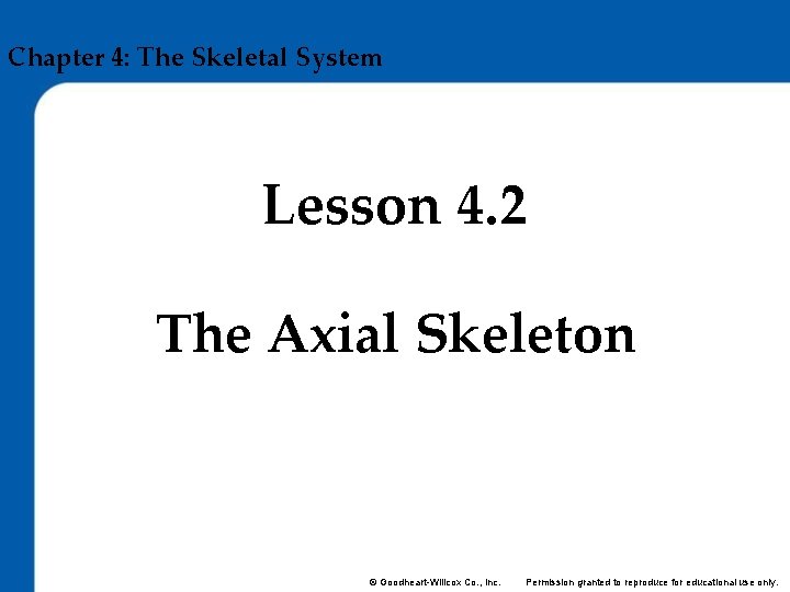 Chapter 4: The Skeletal System Lesson 4. 2 The Axial Skeleton © Goodheart-Willcox Co.