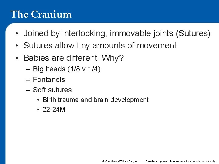 The Cranium • Joined by interlocking, immovable joints (Sutures) • Sutures allow tiny amounts