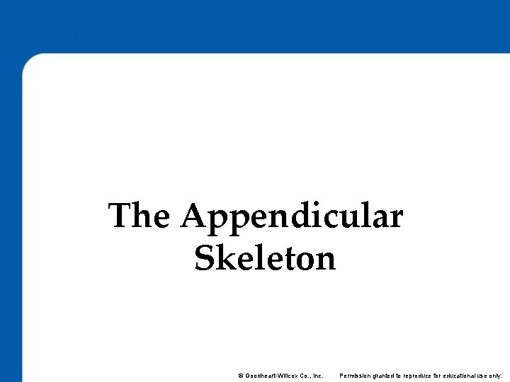 Chapter 4: The Skeletal System Lesson 4. 3 The Appendicular Skeleton © Goodheart-Willcox Co.
