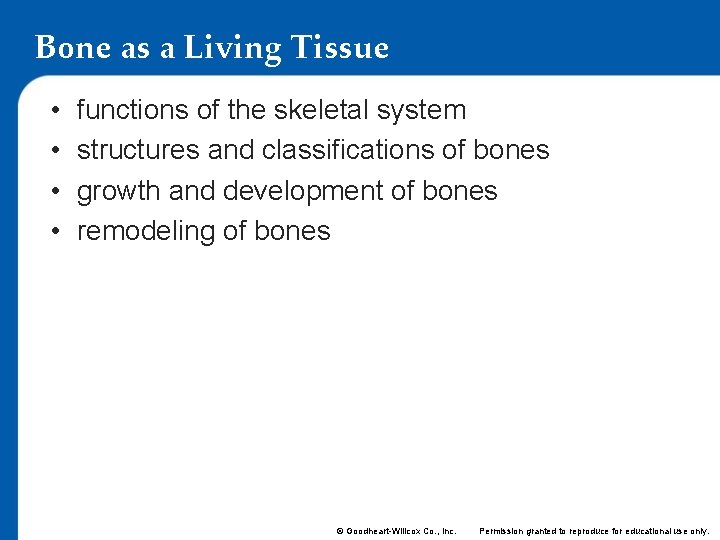 Bone as a Living Tissue • • functions of the skeletal system structures and