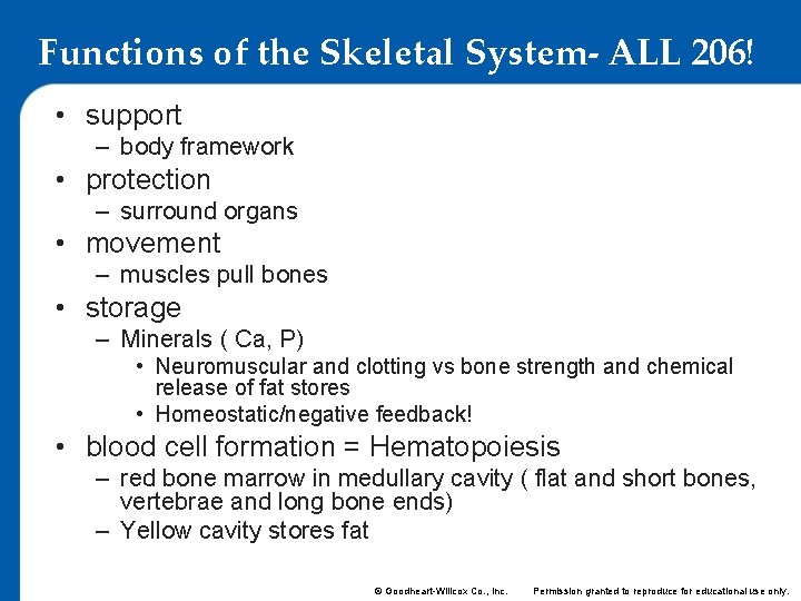Functions of the Skeletal System- ALL 206! • support – body framework • protection