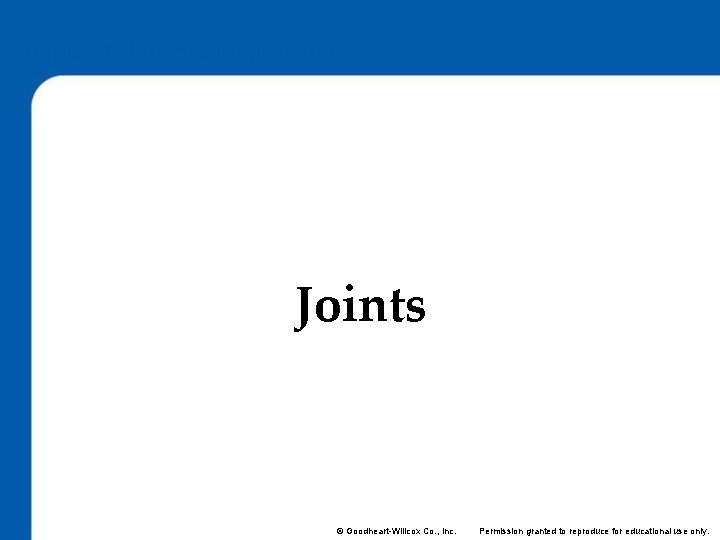 Chapter 4: The Skeletal System Lesson 4. 4 Joints © Goodheart-Willcox Co. , Inc.