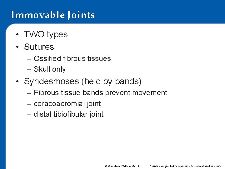 Immovable Joints • TWO types • Sutures – Ossified fibrous tissues – Skull only
