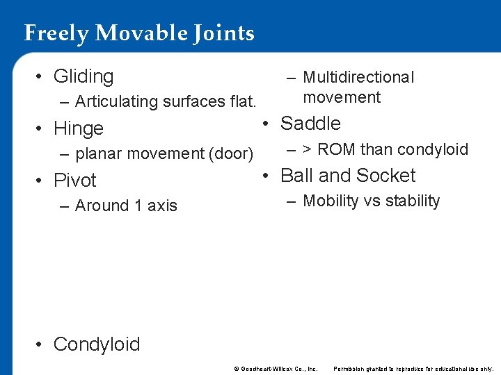 Freely Movable Joints • Gliding – Articulating surfaces flat. • Saddle • Hinge –