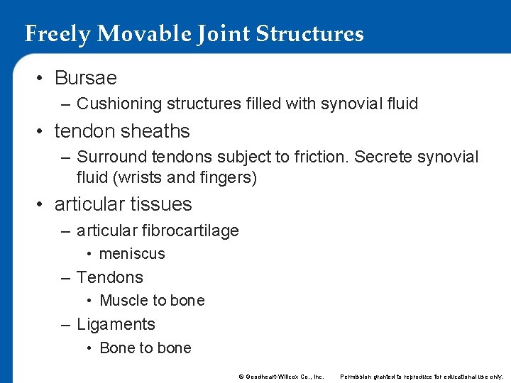 Freely Movable Joint Structures • Bursae – Cushioning structures filled with synovial fluid •