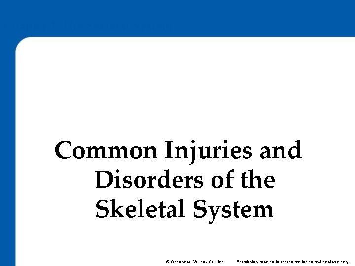 Chapter 4: The Skeletal System Lesson 4. 5 Common Injuries and Disorders of the