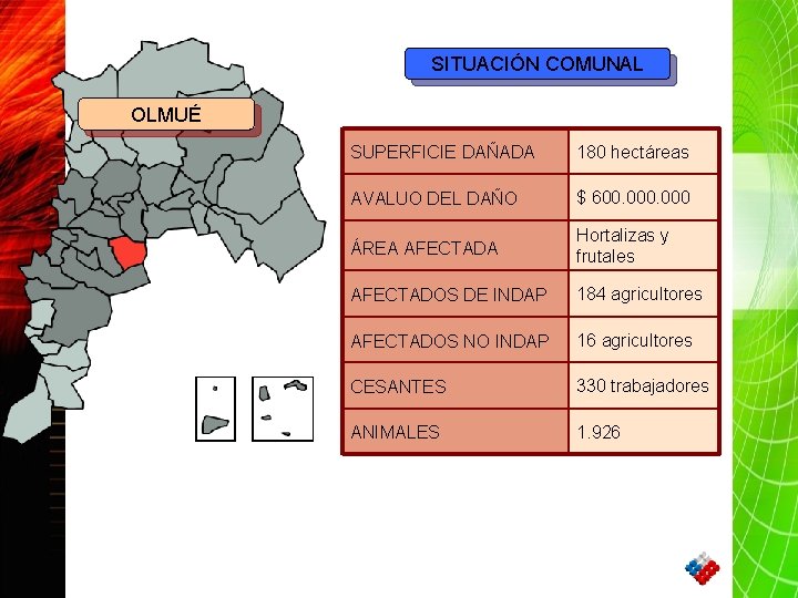 SITUACIÓN COMUNAL OLMUÉ SUPERFICIE DAÑADA 180 hectáreas AVALUO DEL DAÑO $ 600. 000 ÁREA
