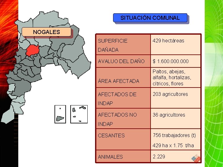 SITUACIÓN COMUNAL NOGALES SUPERFICIE 429 hectáreas DAÑADA AVALUO DEL DAÑO $ 1. 600. 000