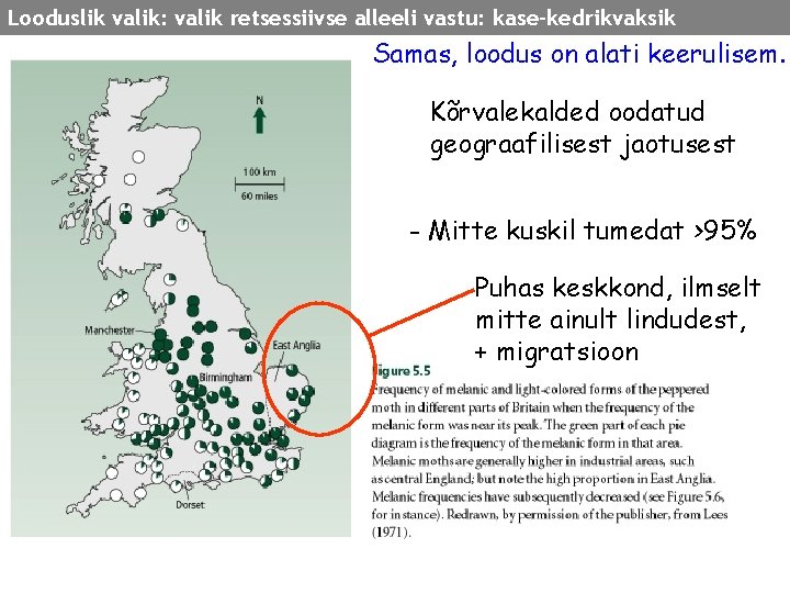 Looduslik valik: valik retsessiivse alleeli vastu: kase-kedrikvaksik Samas, loodus on alati keerulisem. Kõrvalekalded oodatud