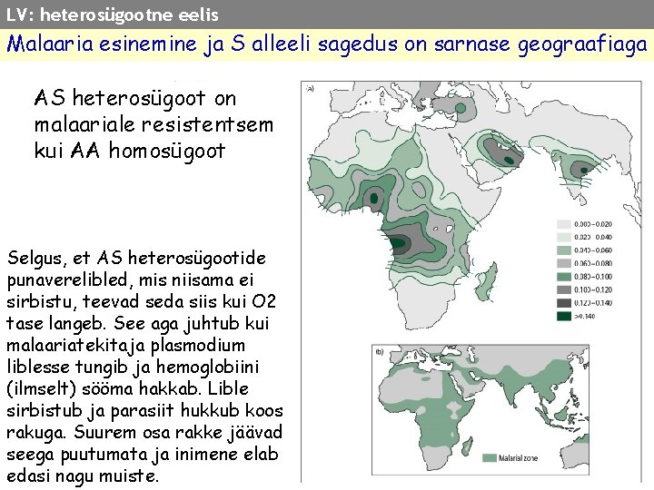 LV: heterosügootne eelis Malaaria esinemine ja S alleeli sagedus on sarnase geograafiaga AS heterosügoot