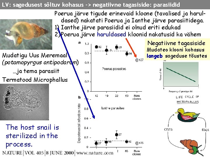 LV: sagedusest sõltuv kohasus -> negatiivne tagasiside: parasiidid Poerua järve tigude erinevaid kloone (tavalised