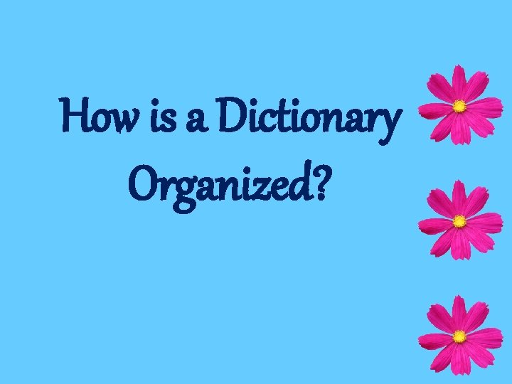 How is a Dictionary Organized? 