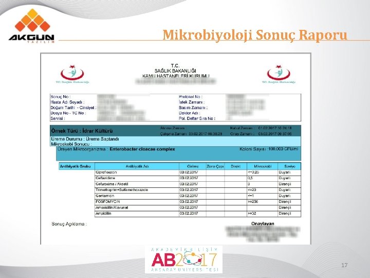 Mikrobiyoloji Sonuç Raporu 17 