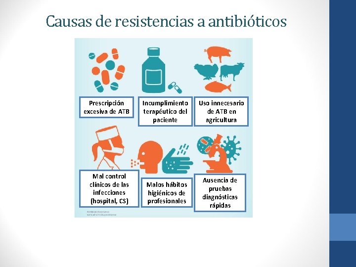 Causas de resistencias a antibióticos Prescripción excesiva de ATB Mal control clínicos de las