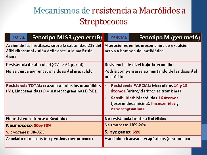 Mecanismos de resistencia a Macrólidos a Streptococos TOTAL Fenotipo MLSB (gen erm. B) PARCIAL