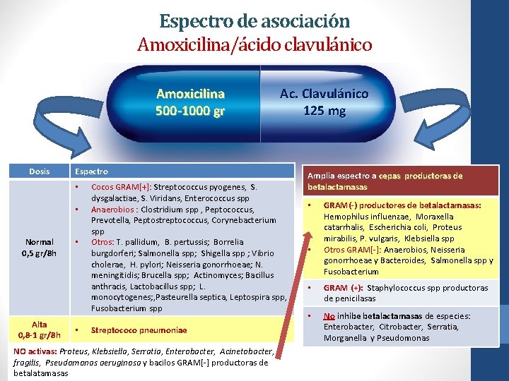 Espectro de asociación Amoxicilina/ácido clavulánico Amoxicilina 500 -1000 gr Dosis Espectro • • Normal