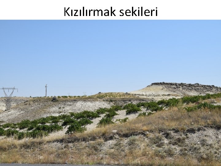 Kızılırmak sekileri 