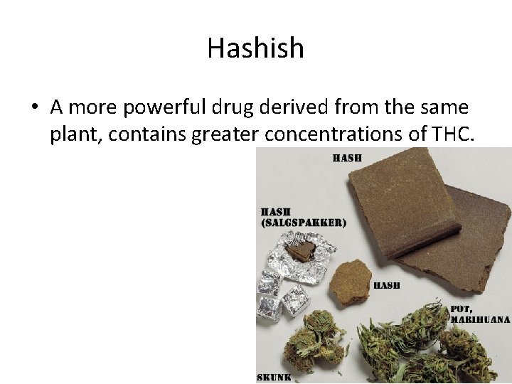 Hashish • A more powerful drug derived from the same plant, contains greater concentrations