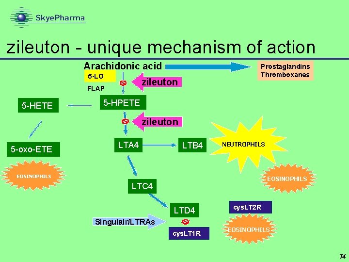 zileuton - unique mechanism of action Arachidonic acid 5 -LO zileuton FLAP 5 -HETE