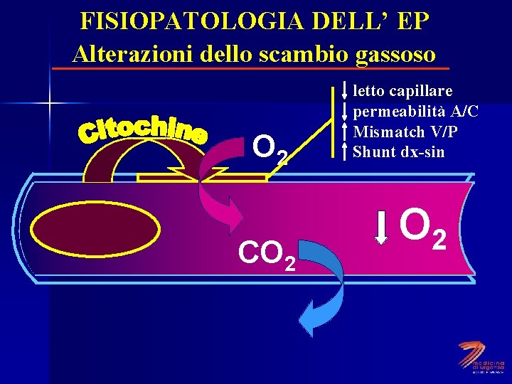 FISIOPATOLOGIA DELL’ EP Alterazioni dello scambio gassoso O 2 CO 2 letto capillare permeabilità