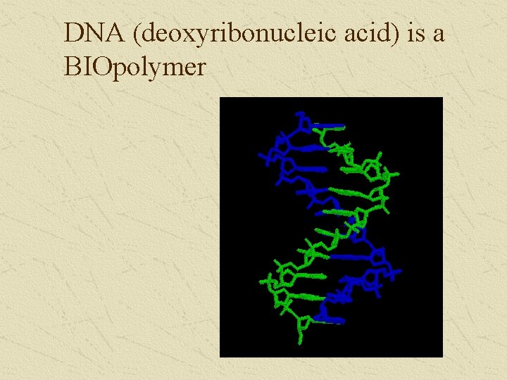 DNA (deoxyribonucleic acid) is a BIOpolymer 
