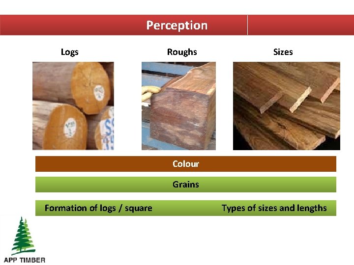 Perception Logs Roughs Sizes Colour Grains Formation of logs / square Types of sizes