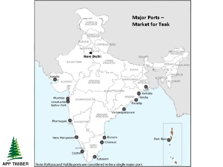Major Ports – Market for Teak 
