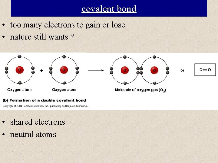 covalent bond • too many electrons to gain or lose • nature still wants