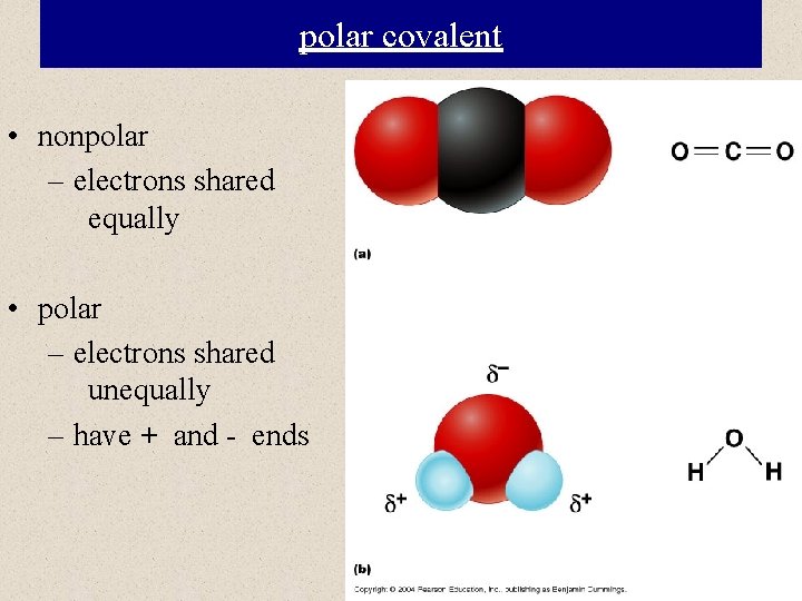 polar covalent • nonpolar – electrons shared equally • polar – electrons shared unequally