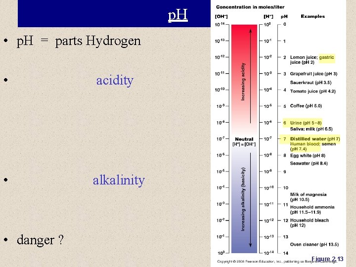 p. H • p. H = parts Hydrogen • acidity • alkalinity • danger