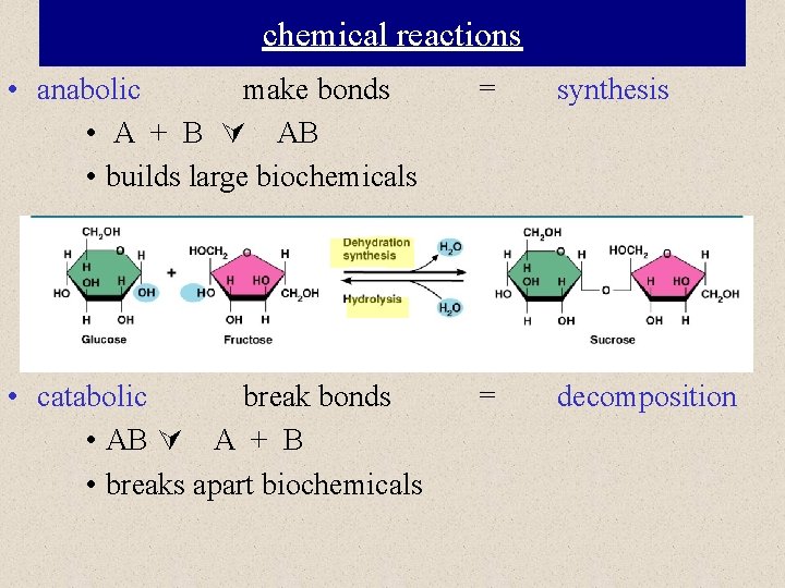 chemical reactions • anabolic make bonds • A + B AB • builds large