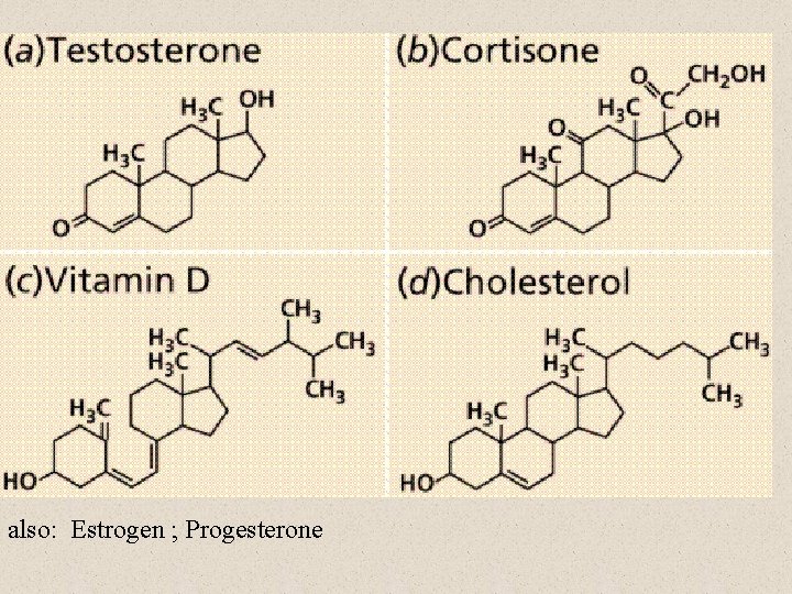 also: Estrogen ; Progesterone 