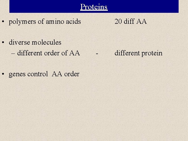 Proteins • polymers of amino acids • diverse molecules – different order of AA