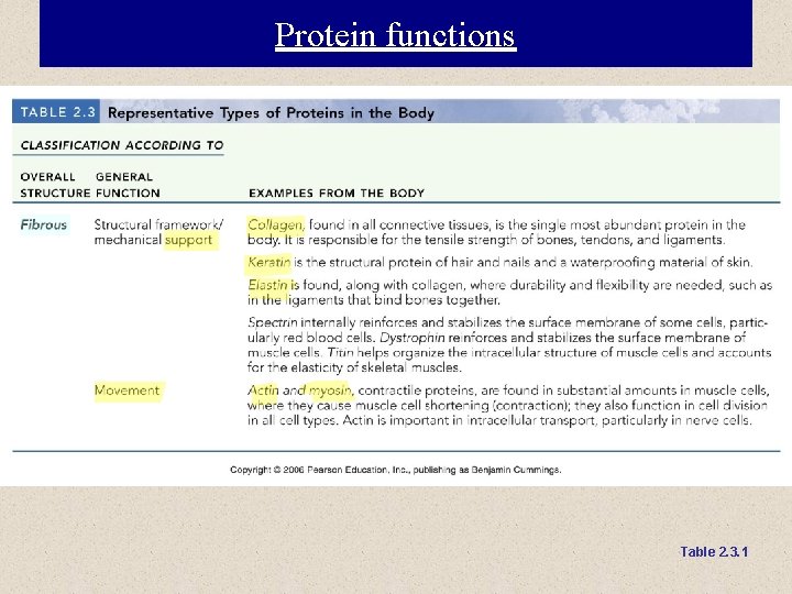 Protein functions Table 2. 3. 1 