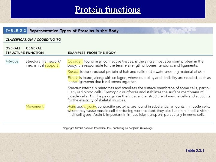 Protein functions Table 2. 3. 1 