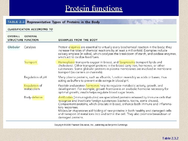 Protein functions Table 2. 3. 2 