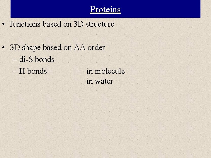 Proteins • functions based on 3 D structure • 3 D shape based on