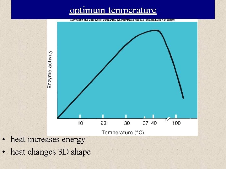 optimum temperature • heat increases energy • heat changes 3 D shape 