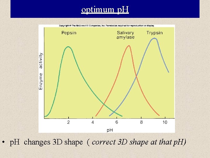 optimum p. H • p. H changes 3 D shape ( correct 3 D