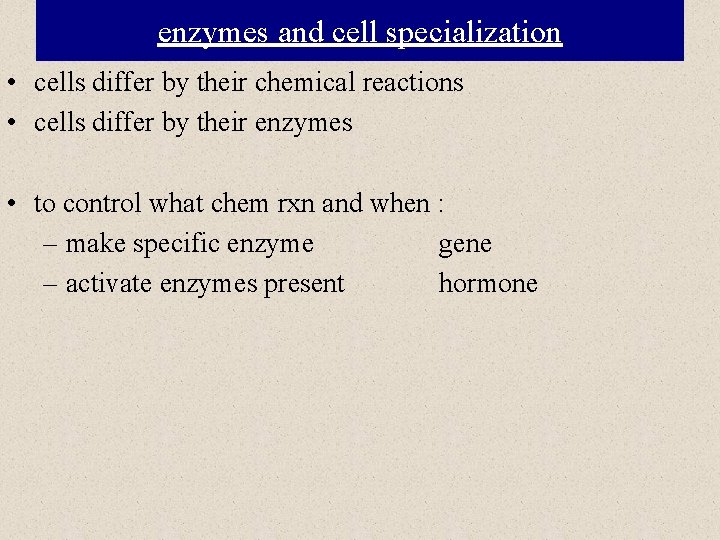 enzymes and cell specialization • cells differ by their chemical reactions • cells differ