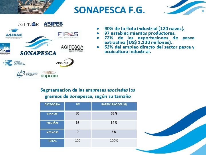 SONAPESCA F. G. 90% de la flota industrial (120 naves). 97 establecimientos productores. 72%